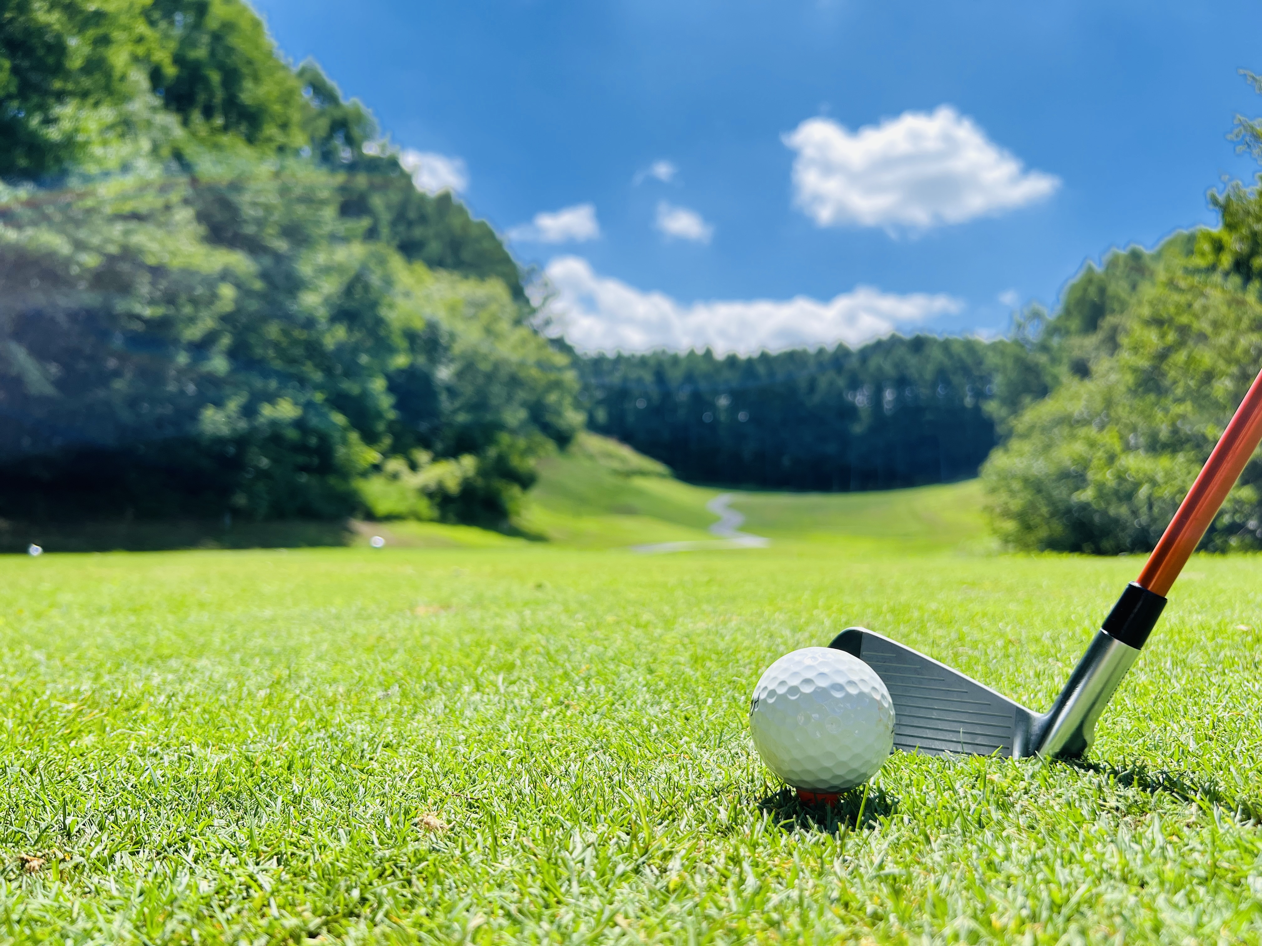 ゴルフクラブ