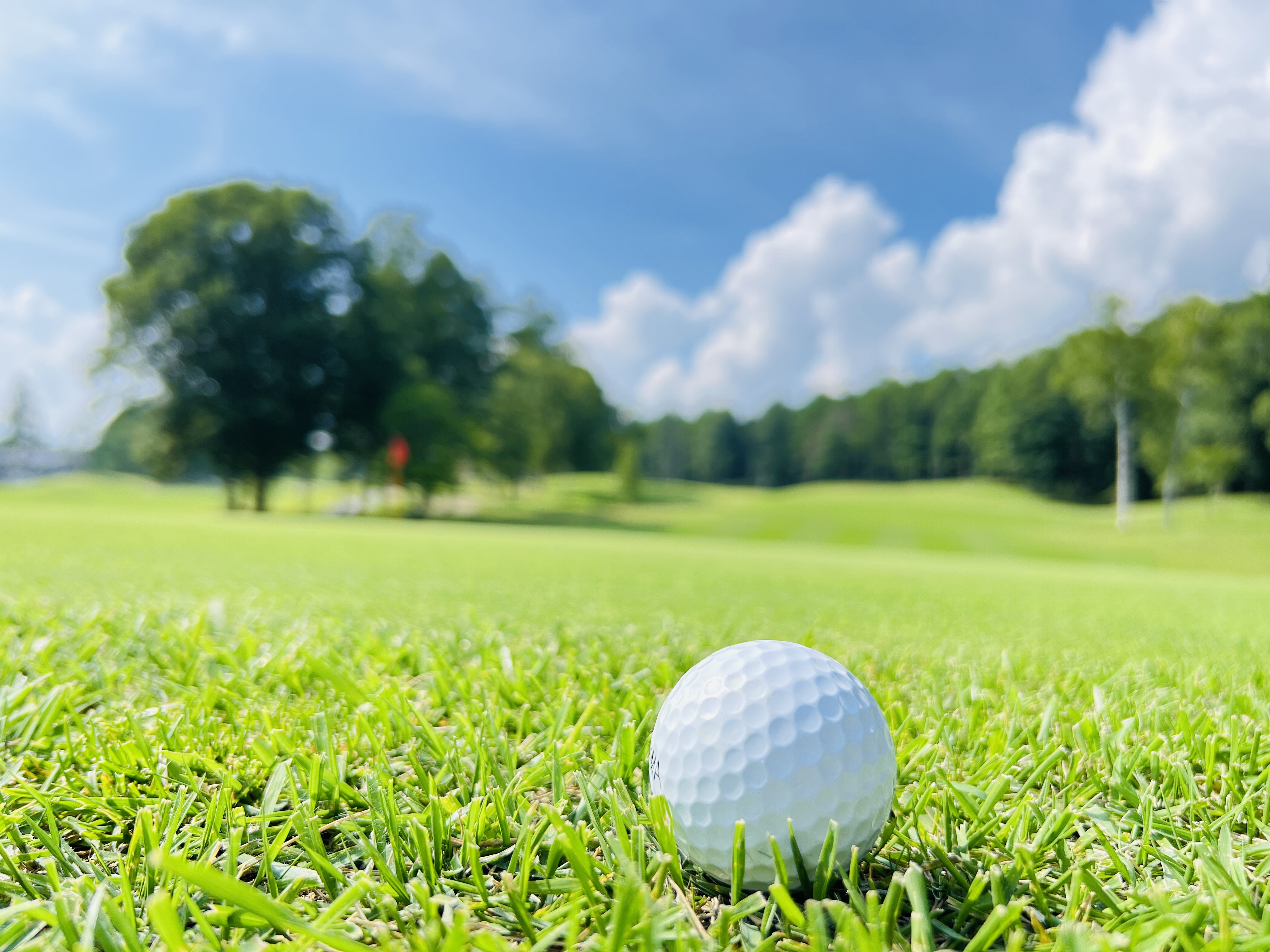ゴルフコース