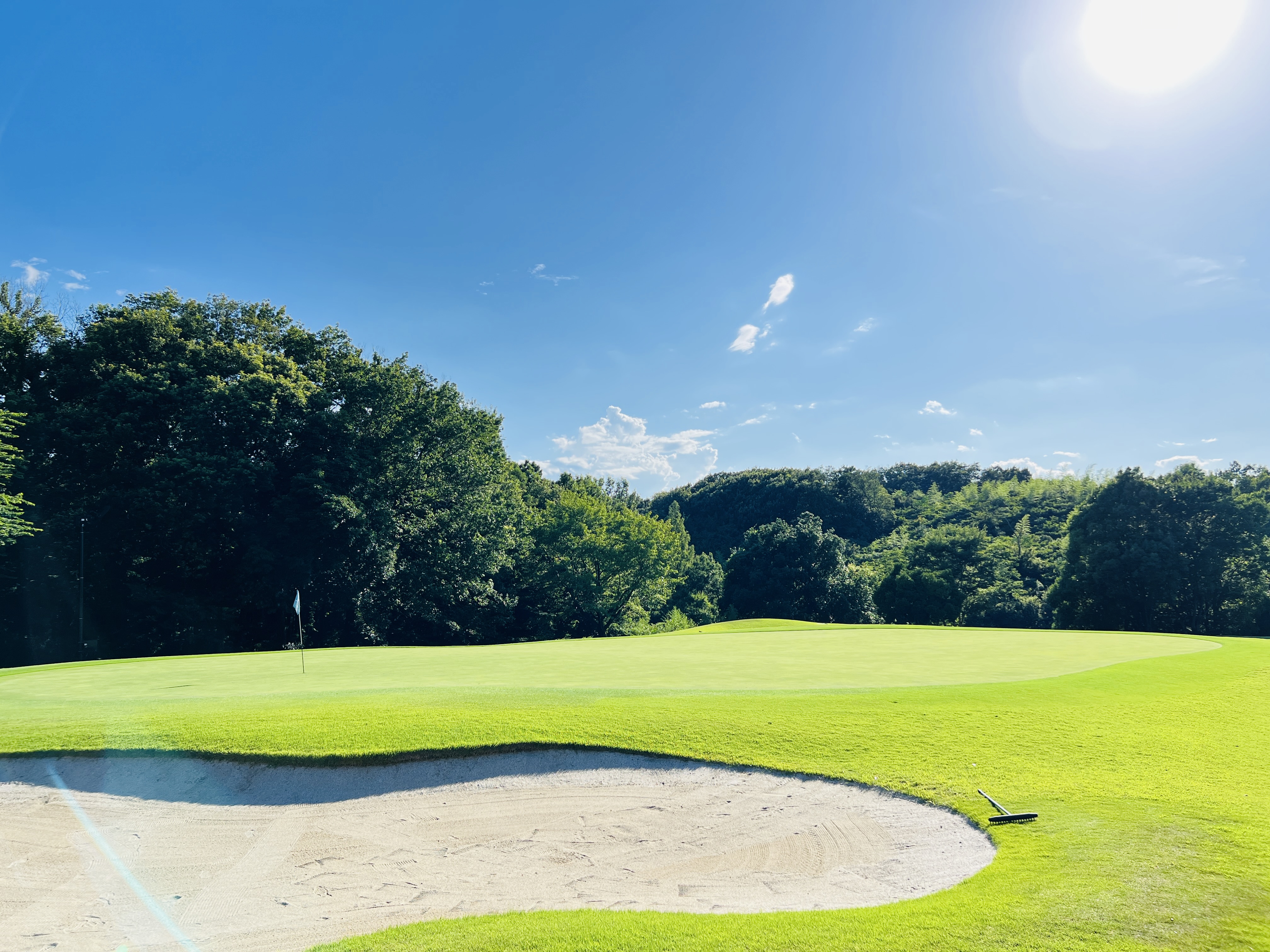 ゴルフグリーン